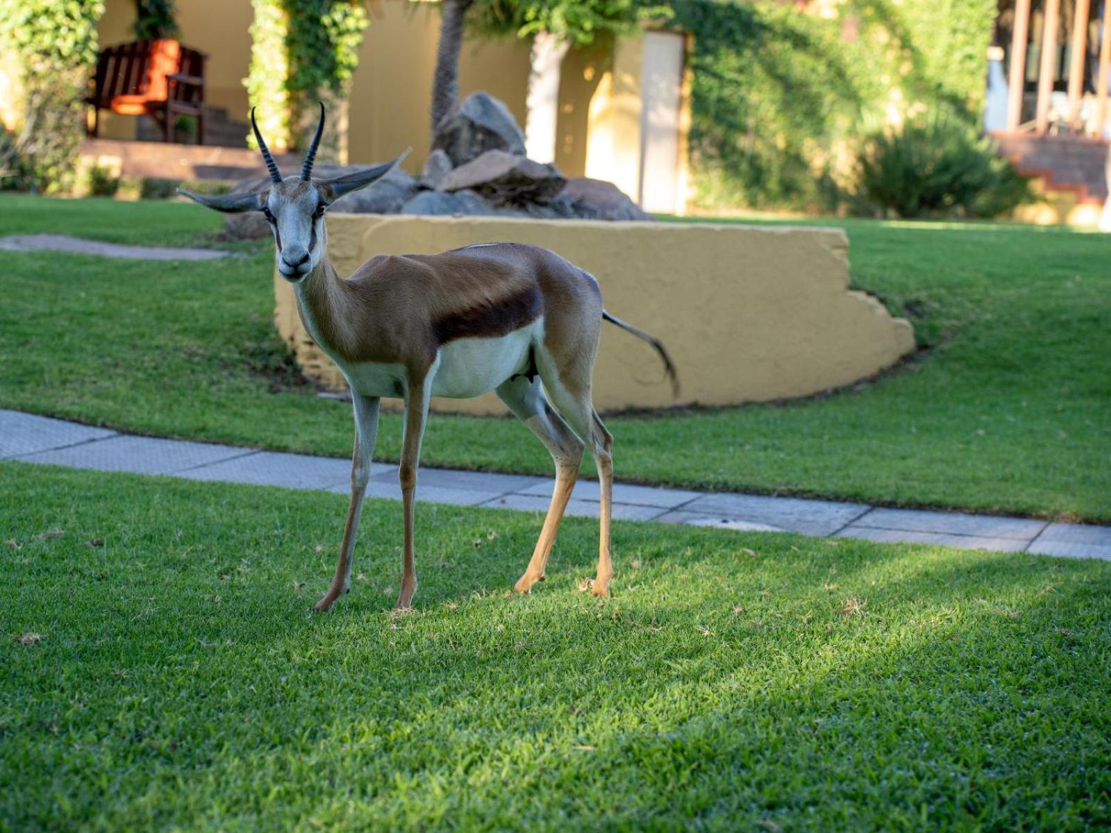 Sunriver Kalahari Lodge Riverside Stay In Upington Luaran gambar